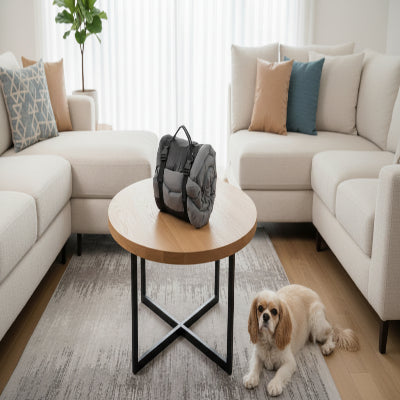 lit de camp pour chien gris