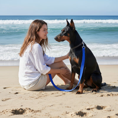 longe chien pour entrainement en nylon bleue