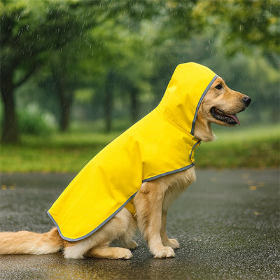 Manteau Chien chic