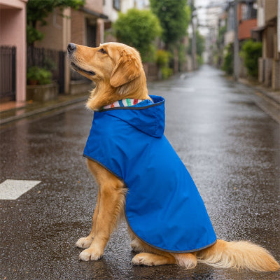 Manteau Chien elegant
