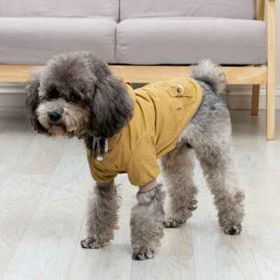 Manteau pour chien | Élégant et Chaud