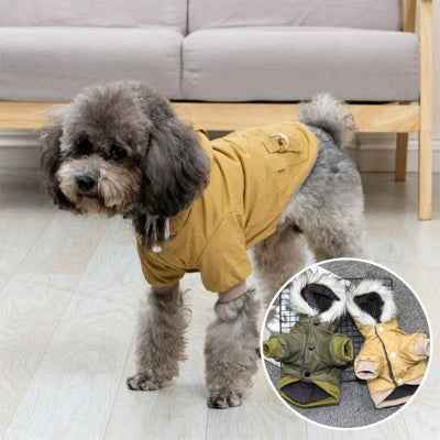 Manteau pour chien | Élégant et Chaud