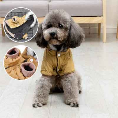 Manteau pour chien | Élégant et Chaud