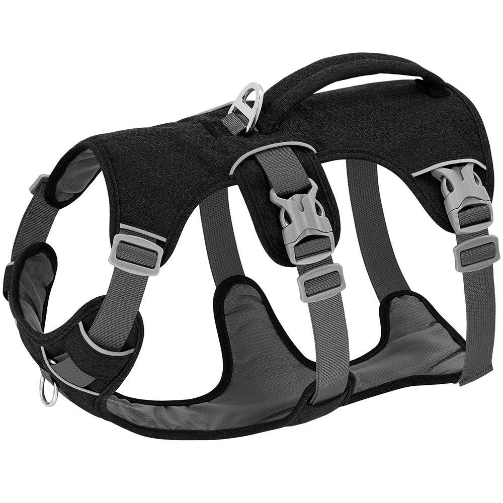 PAck promenade harnais anti fugue couleur noir interieur remboureé
