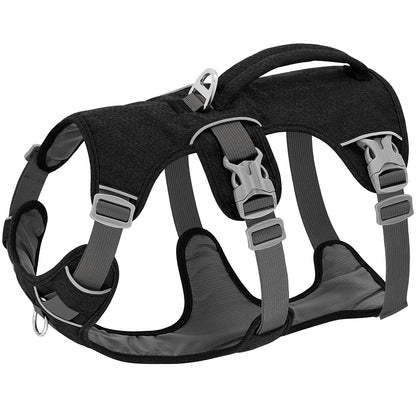 PAck promenade harnais anti fugue couleur noir interieur remboureé