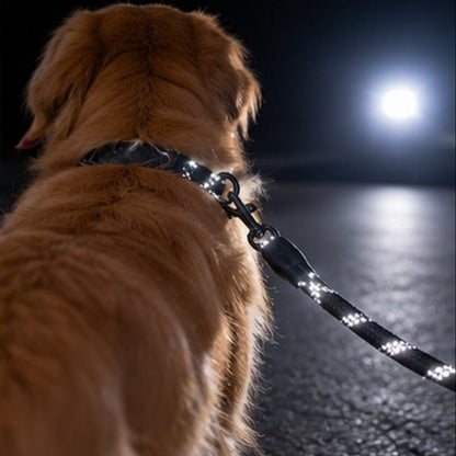 PAck -promenade laisse réfléchissante pour chien visibilité de nuit