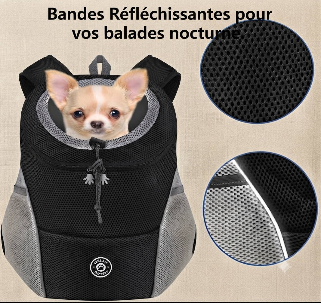 Sac de transport pour chien Rando visible nuit