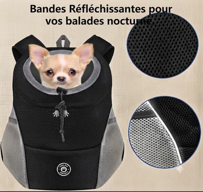 Sac de transport pour chien Rando visible nuit