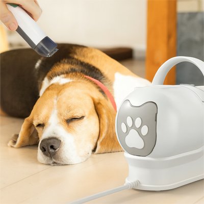 Aspirateur poil de chien