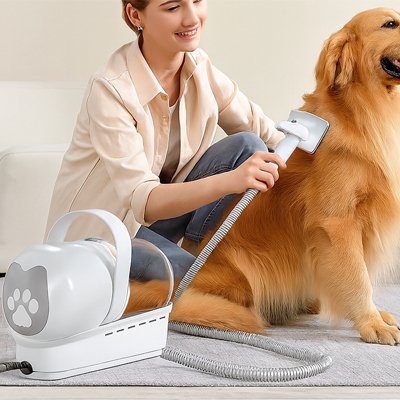 Aspirateur poil de chien