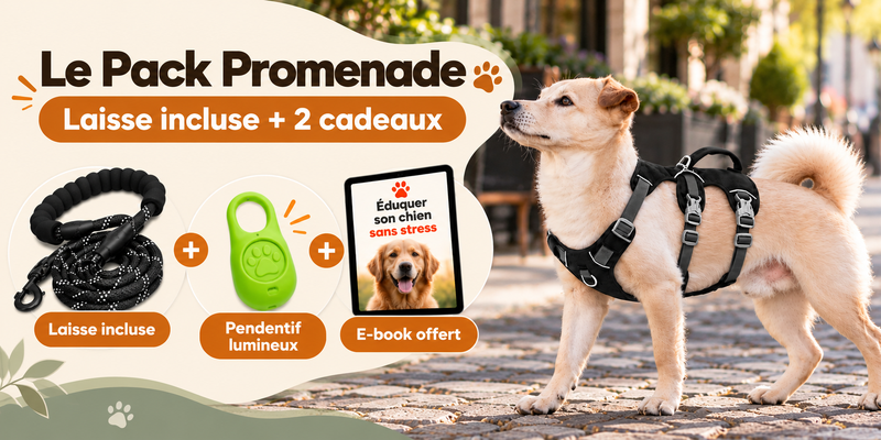 banniere pack promenade