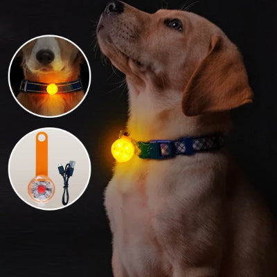 Collier chien eclairage 3 modes lumieres