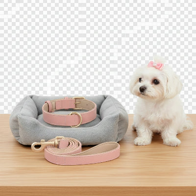 collier chien élegant en rose avec laisse