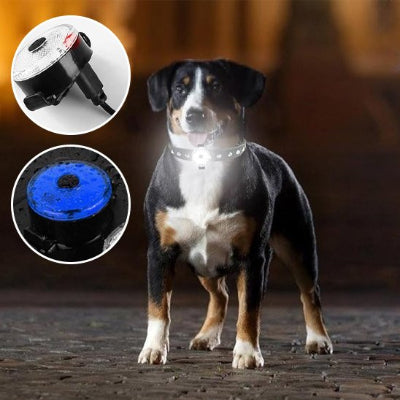 Collier chien lumineux etanche