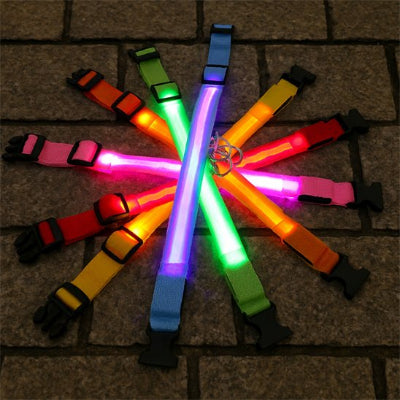 Collier chien lumineux multicolors