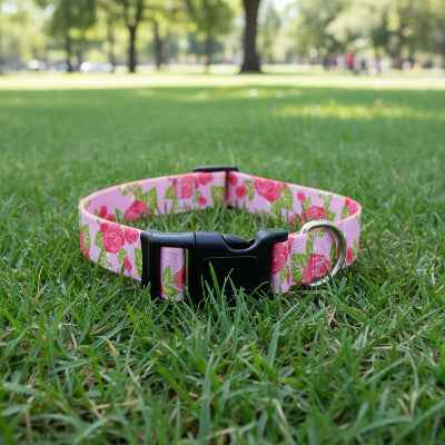 Collier Chien | Style & Douceur