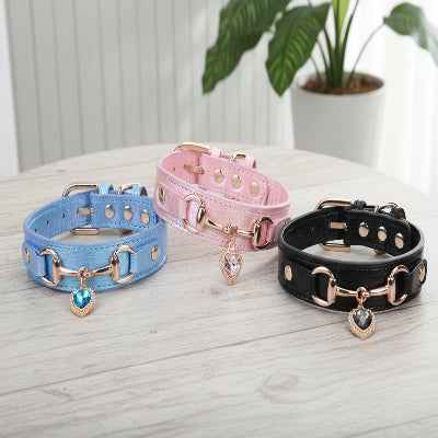 Collier Chiot | Résistant et Confortable