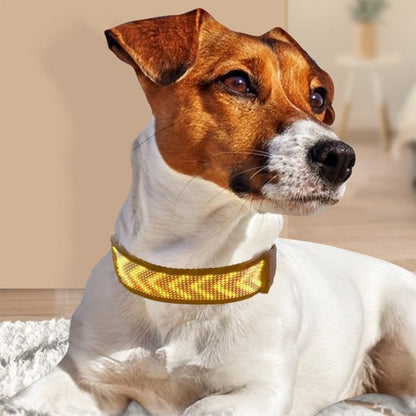 Collier lumineux chien rechargeable