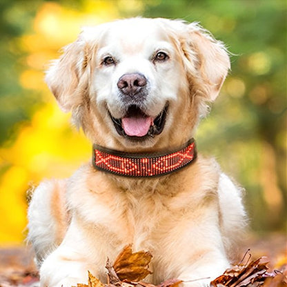Collier lumineux chien visible