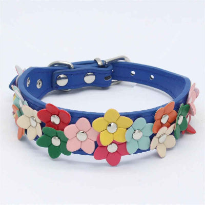 collier pour chien bleu