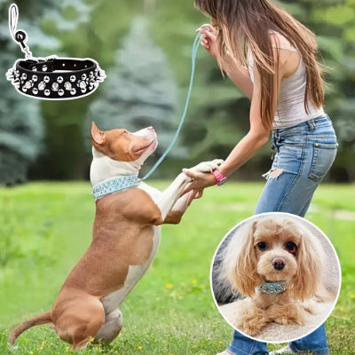 Collier pour chien à clous avec laisse en bleu ciel