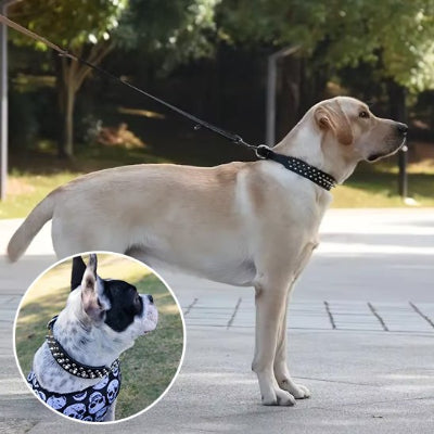 Collier pour chien à clous avec laisse ensemble deux en un