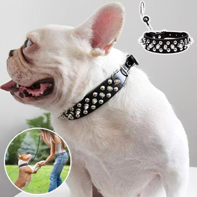 Collier pour chien à clous avec laisse