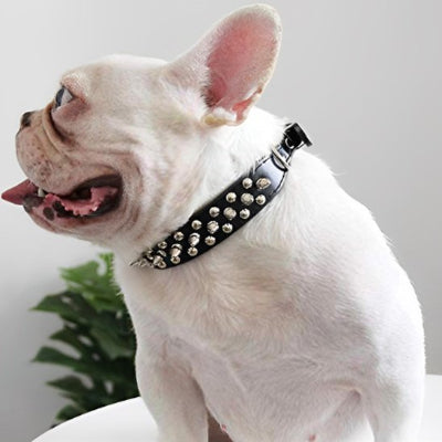 Collier pour chien à clous en noir