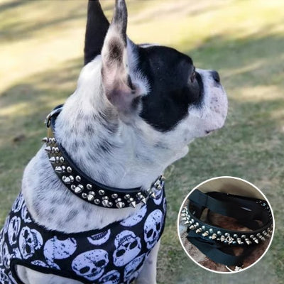 Collier pour chien à clous style rebelle