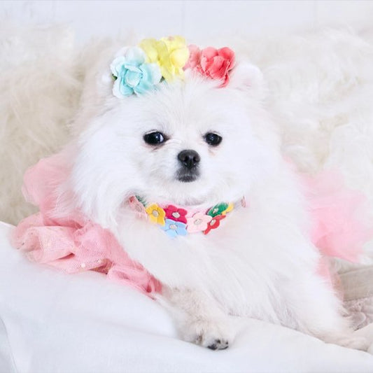 Collier pour chien à fleurs