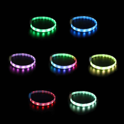 collier pour chien couleur