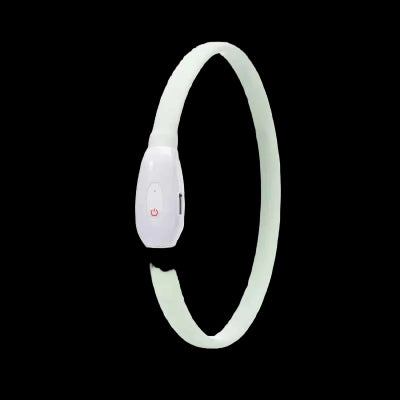 collier pour chien model