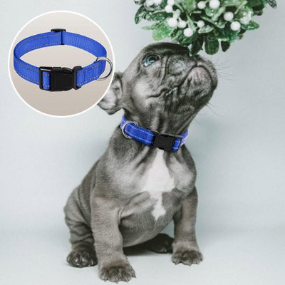 Collier pour chien réfléchissant corde en nylon adaptable 