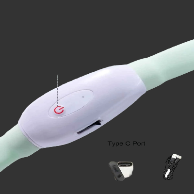 collier pour chien type c