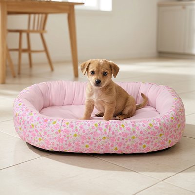 Coussin pour Chien lavable