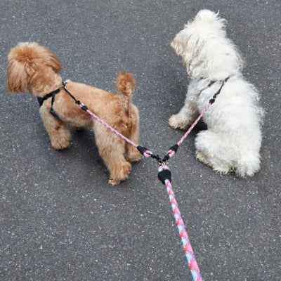 double laisse pour chiens |Safe Walk