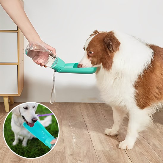 Gourde chien anti-fuite