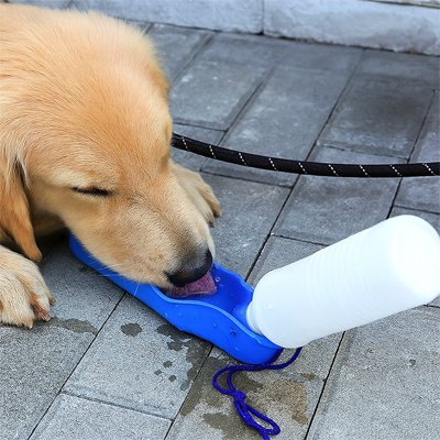 Gourde Chien bleu-sans pba