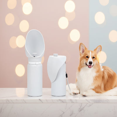 gourde chien ergnomique