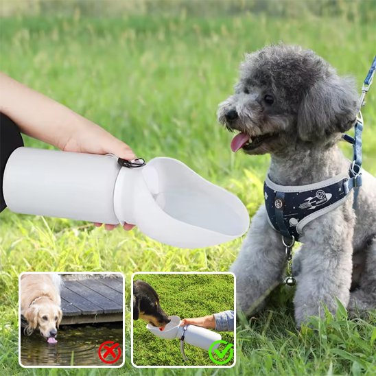 Gourde chien goblet pratique