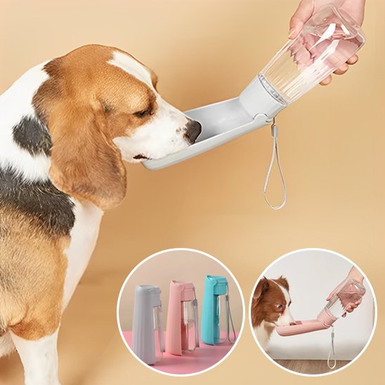 Gourde chien pliable