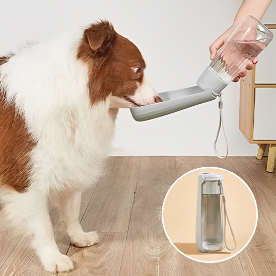 Gourde chien portable