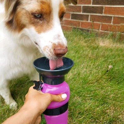 gourde pour chien​ avec abreuvoir