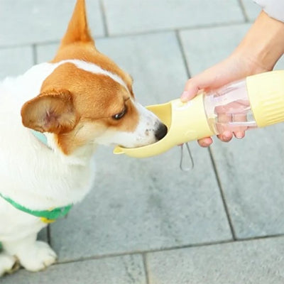 Gourde pour chien avec tasse de nourriture pratique