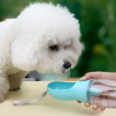 Gourde pour chien bleu  claire