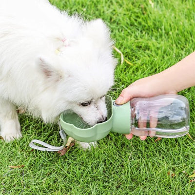 gourde pour chien poussoir