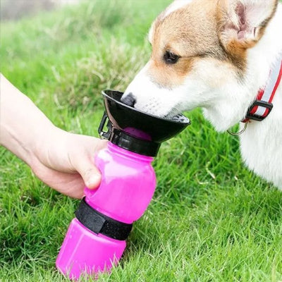 gourde pour chien​ en rose