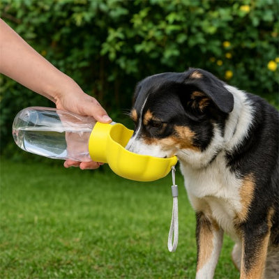 gourde pour chien pliable