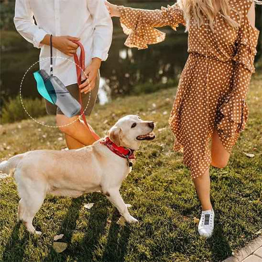 Gourde pour chien | Pliable & Portable