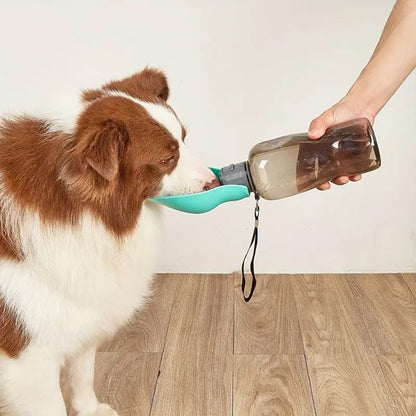 Gourde pour chien​ portable en bleu